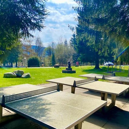 Relaxapartments Abendsonne Im Herzen Des Harzes - Ein El Dorado Fuer Wanderer, Biker Und Ruhesuchende - Mit Sonnigem Balkon Und Platz Fuer Bis Zu 3 Personen 戈斯拉尔 外观 照片