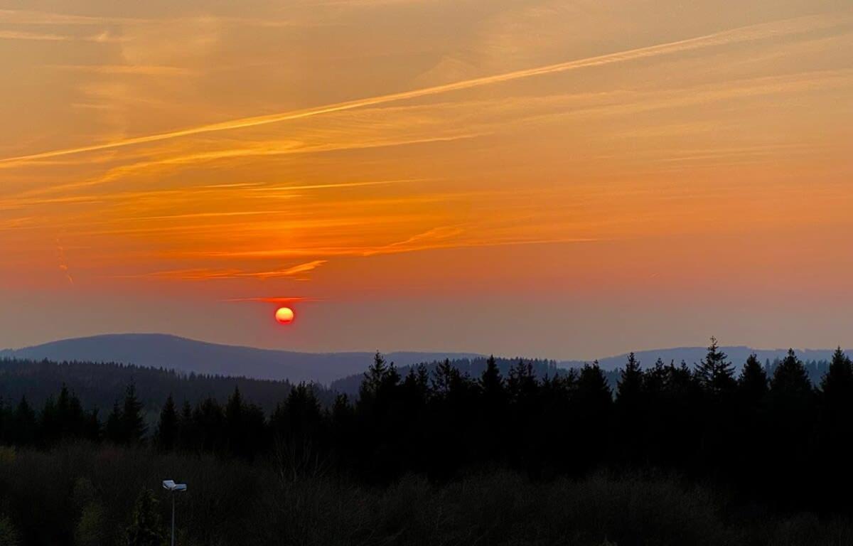 Relaxapartments Abendsonne Im Herzen Des Harzes - Ein El Dorado Fuer Wanderer, Biker Und Ruhesuchende - Mit Sonnigem Balkon Und Platz Fuer Bis Zu 3 Personen 戈斯拉尔 外观 照片