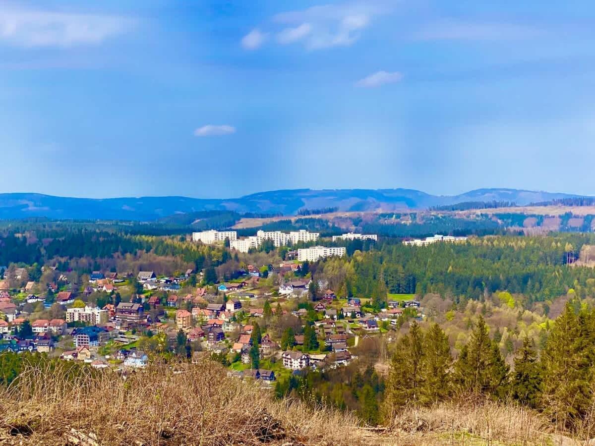Relaxapartments Abendsonne Im Herzen Des Harzes - Ein El Dorado Fuer Wanderer, Biker Und Ruhesuchende - Mit Sonnigem Balkon Und Platz Fuer Bis Zu 3 Personen 戈斯拉尔 外观 照片